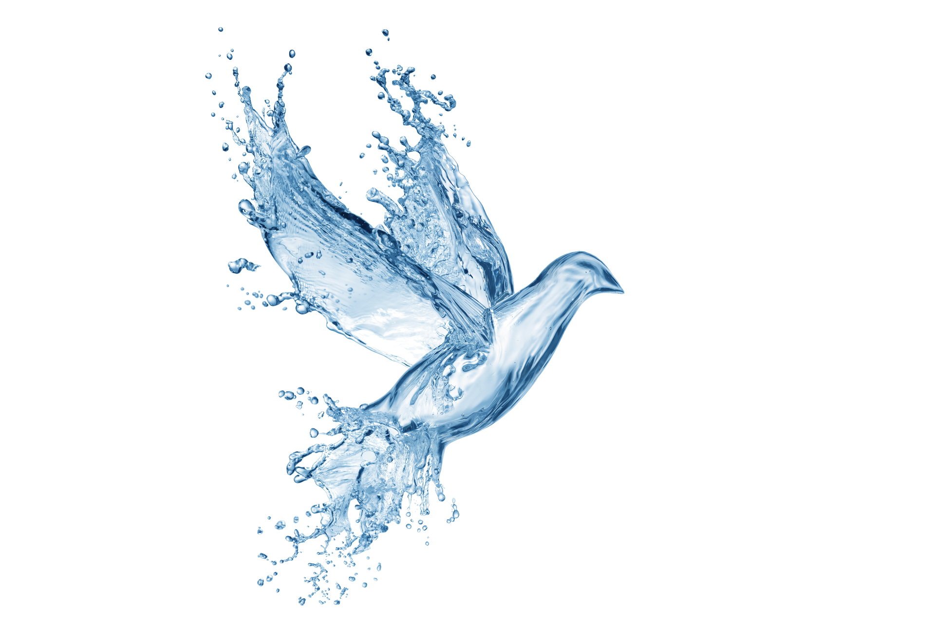 water drops screensavers creativity art pigeon splash splash drawing creative art