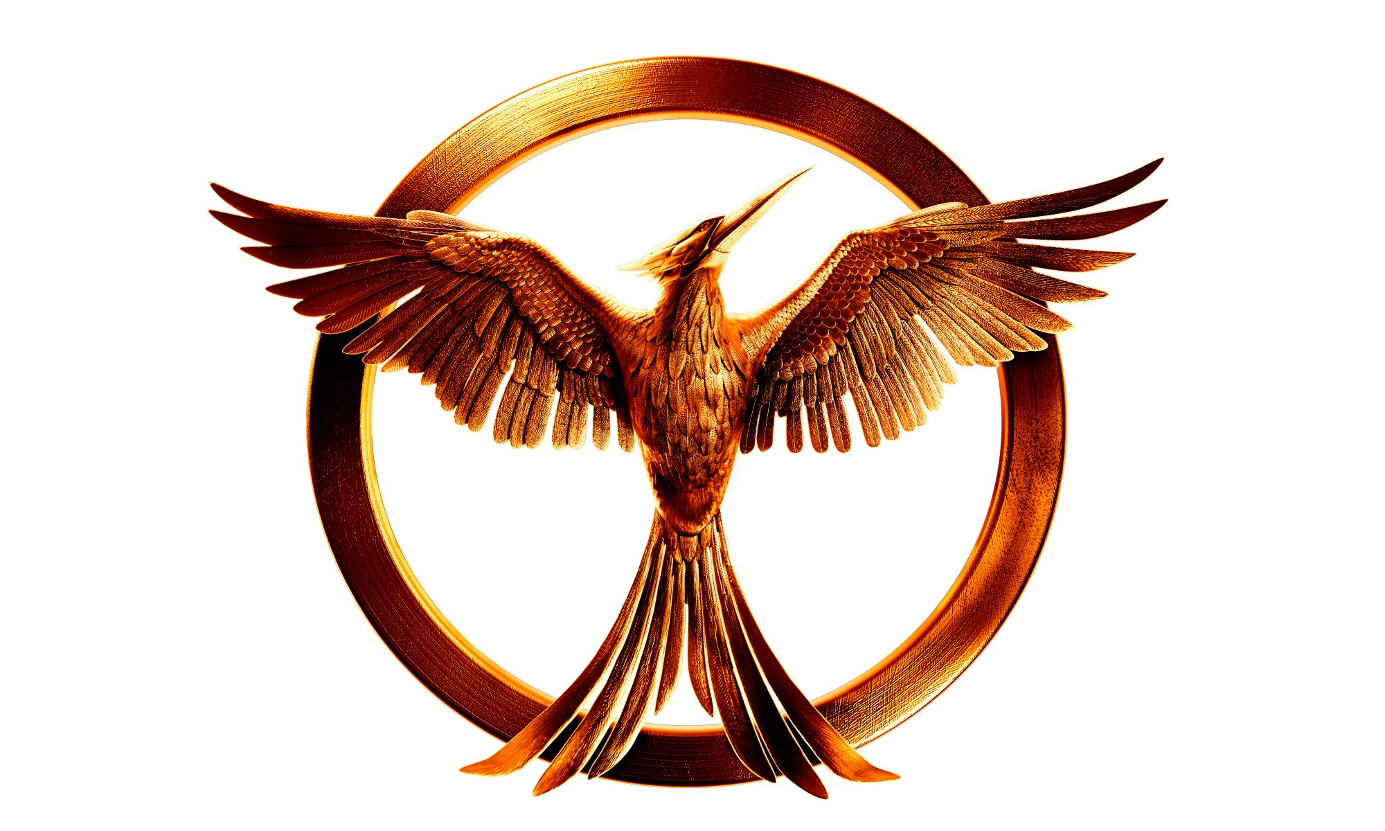 mockingjay eichelhäher spottdrossel logo