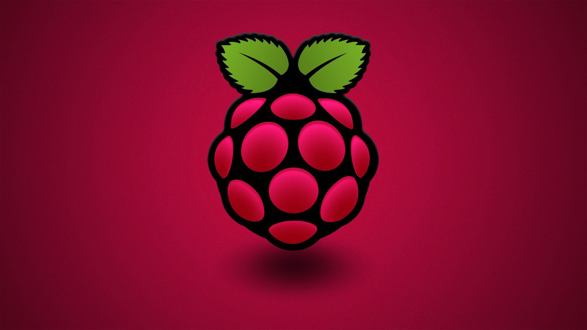 bacca lampone foglia colore computer raspberry pi