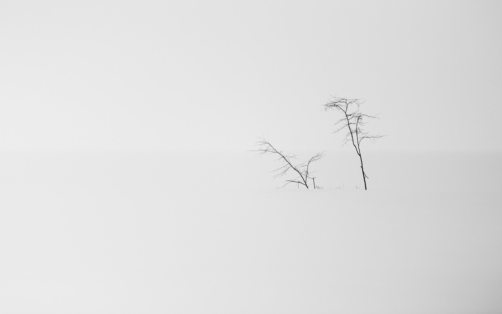 schnee bäume natur minimalismus