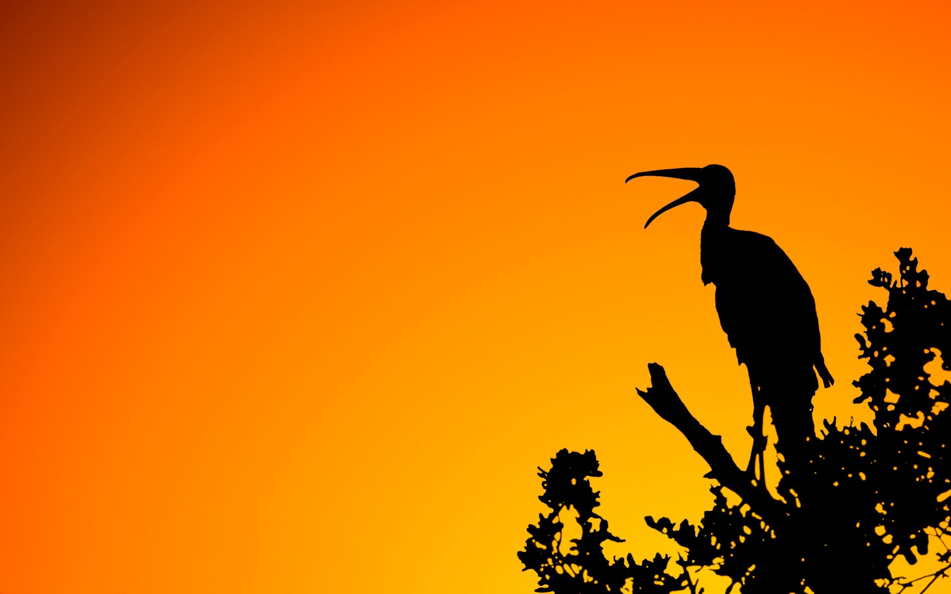 natur licht sonnenuntergang vogel zweig silhouette