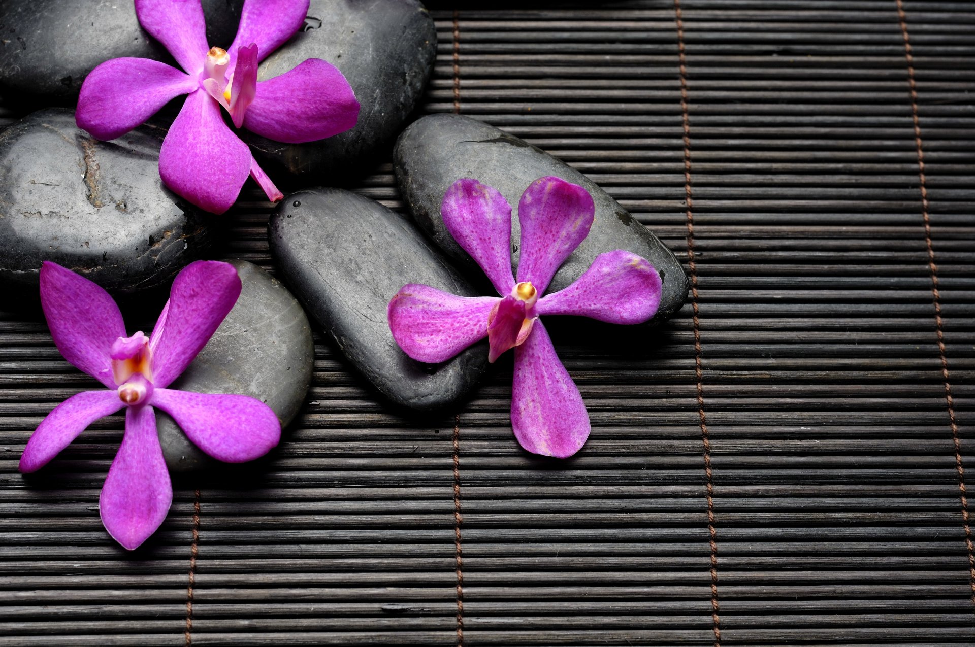 pa zen stones flowers bamboo black purple