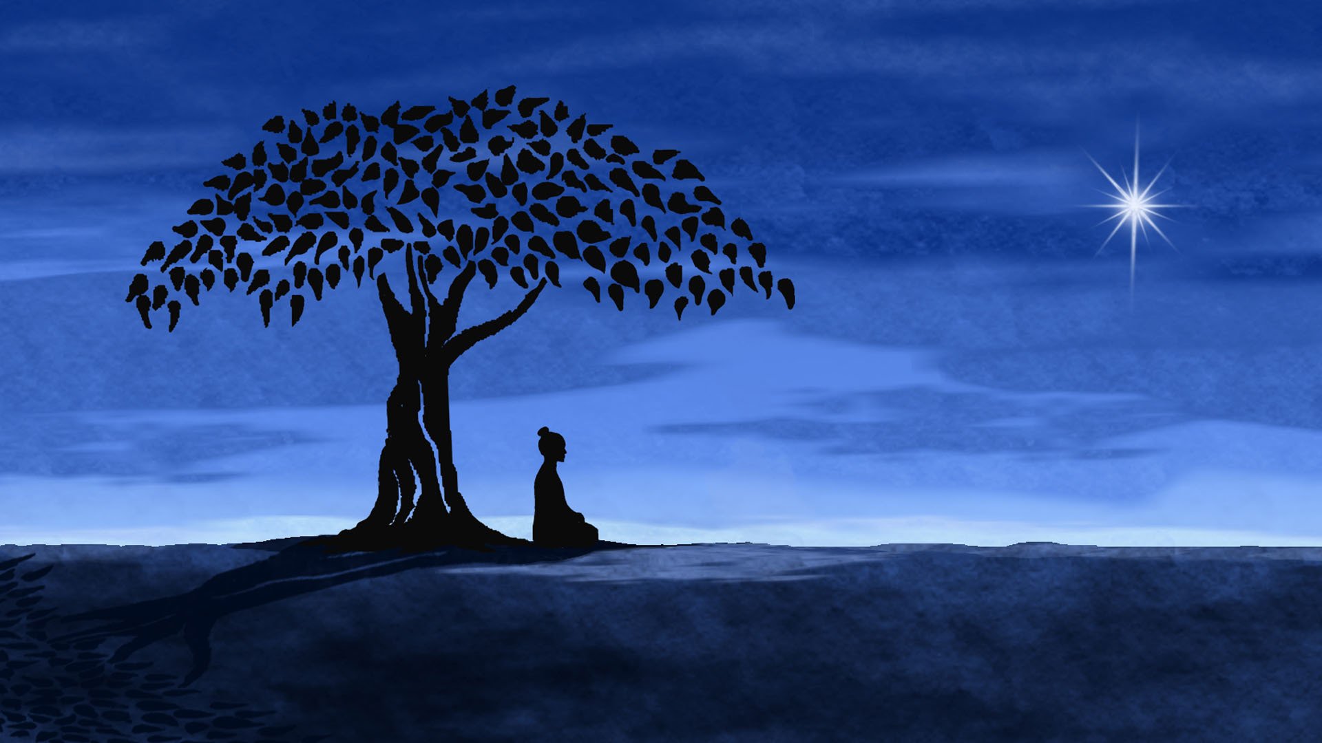 noche árbol estrella meditación