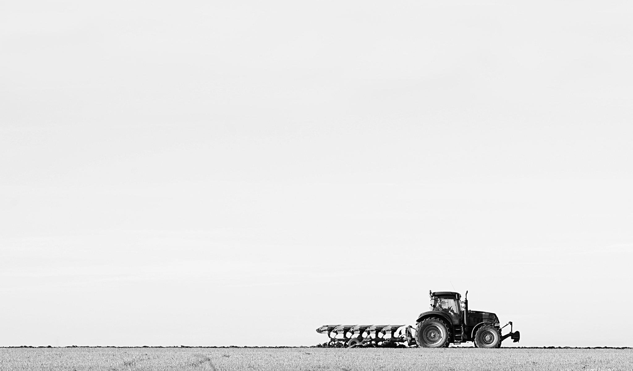 tractor plow the field