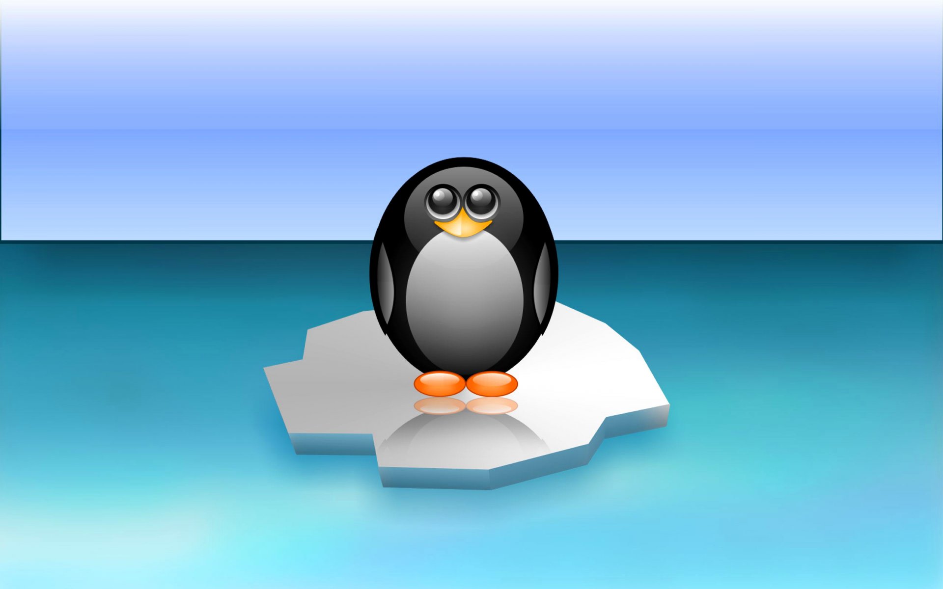 poultry penguin floe antarctica sea