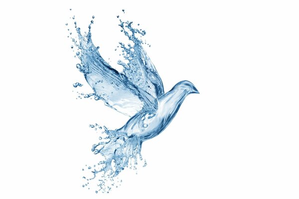 Арт-голубь, образовавшийся из всплеска капель воды
