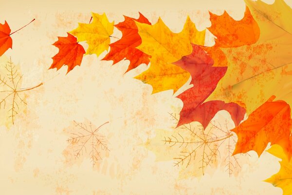 Le vent chasse les feuilles d automne