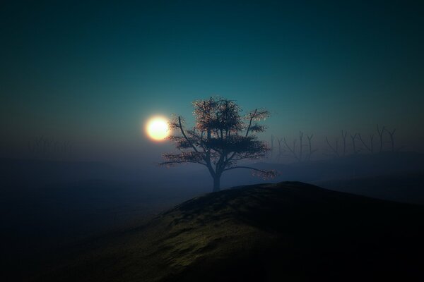 Ein einsamer Baum auf einem Hügel im Licht des Mondes