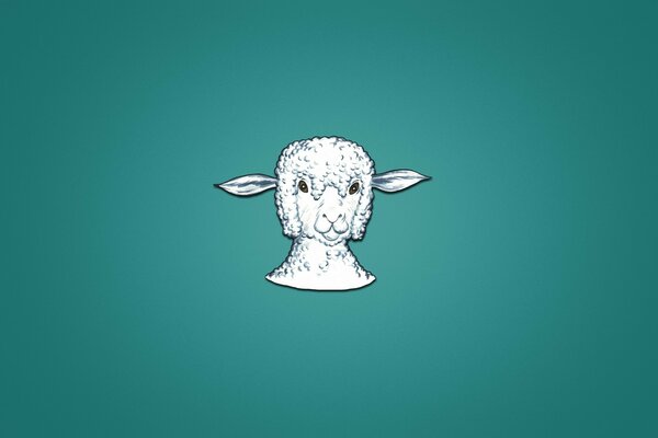 Testa di agnello, sfondo blu-verde, minimalismo