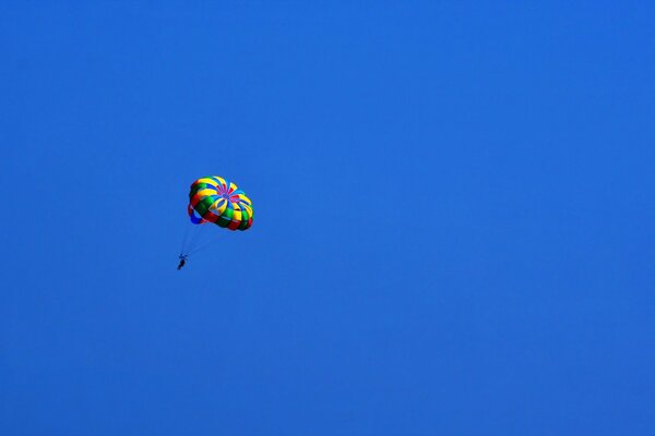 In the blue sky, a sports parachutist