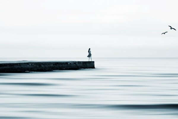 Silhouette of a girl in a dress on the pier. Seagulls over the water