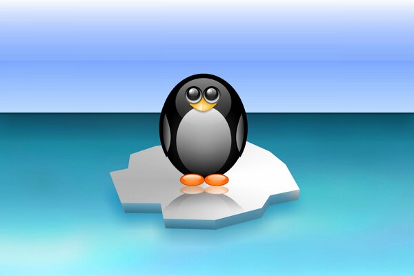 Penguin on an ice floe in the Arctic