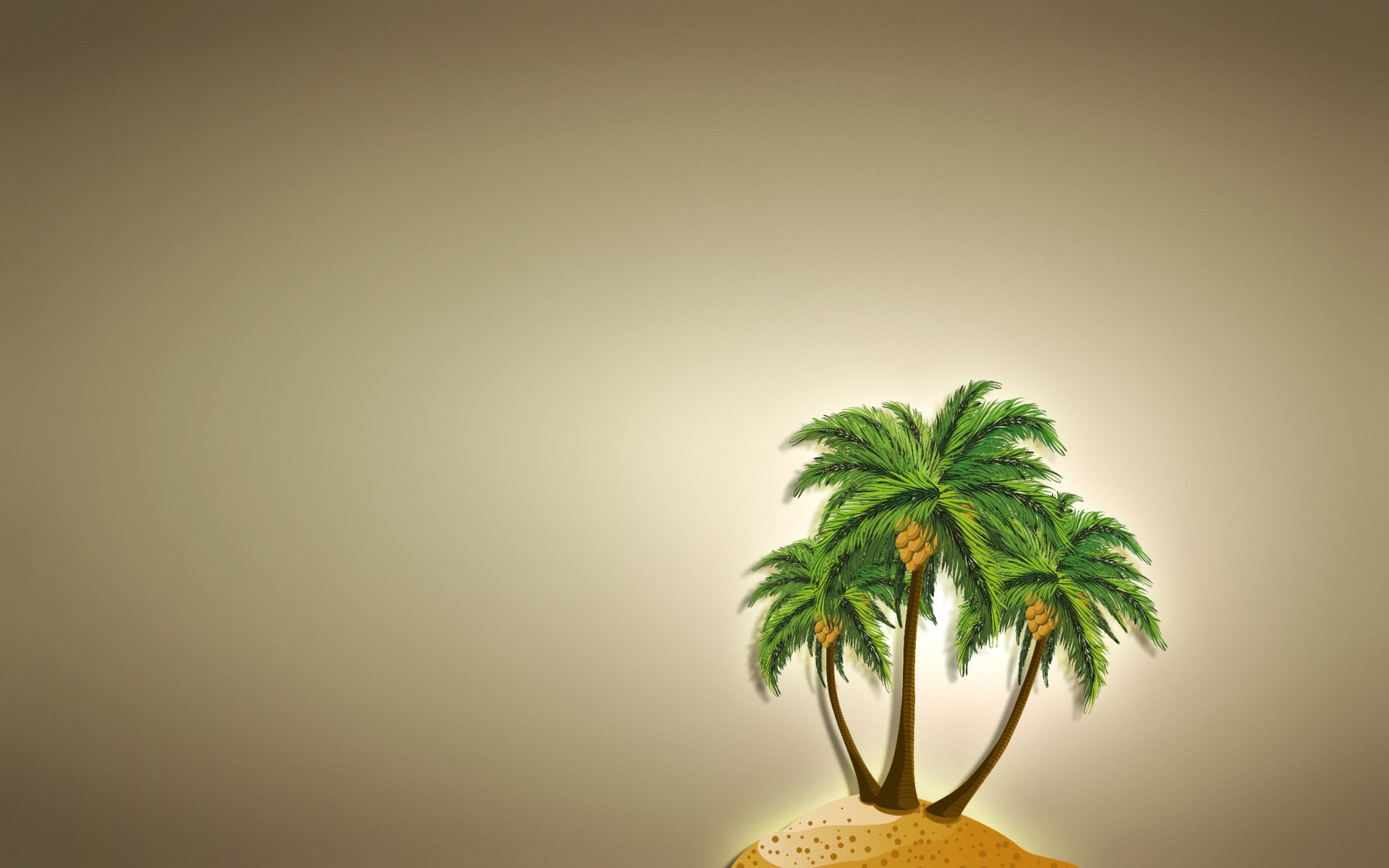 palma island light background coconut minimalism tree