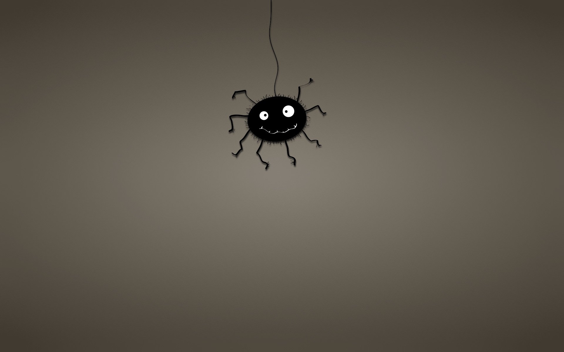 spinne spinnennetz schwarz dunkler hintergrund minimalismus