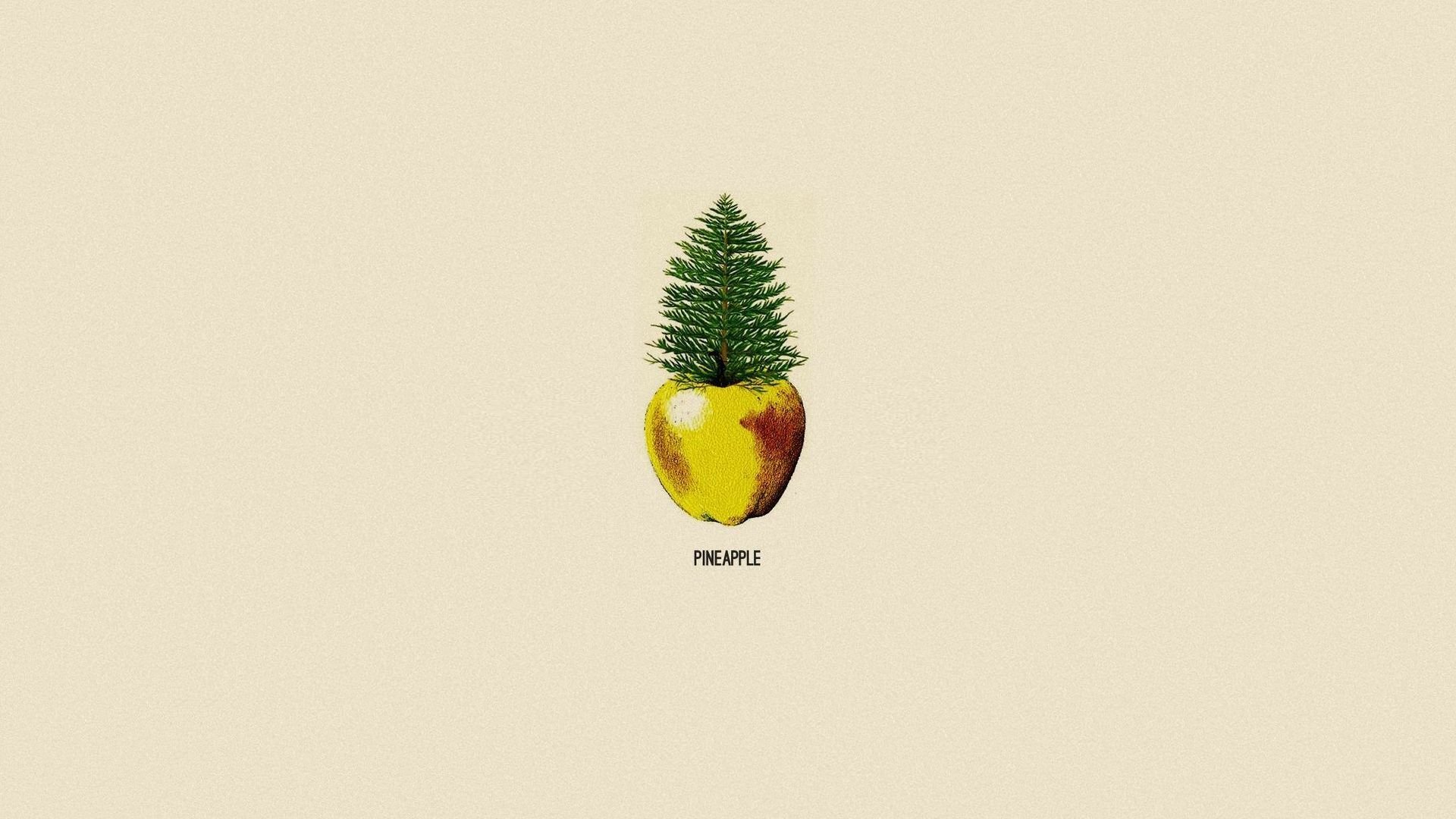 minimalism pine apple pineapple