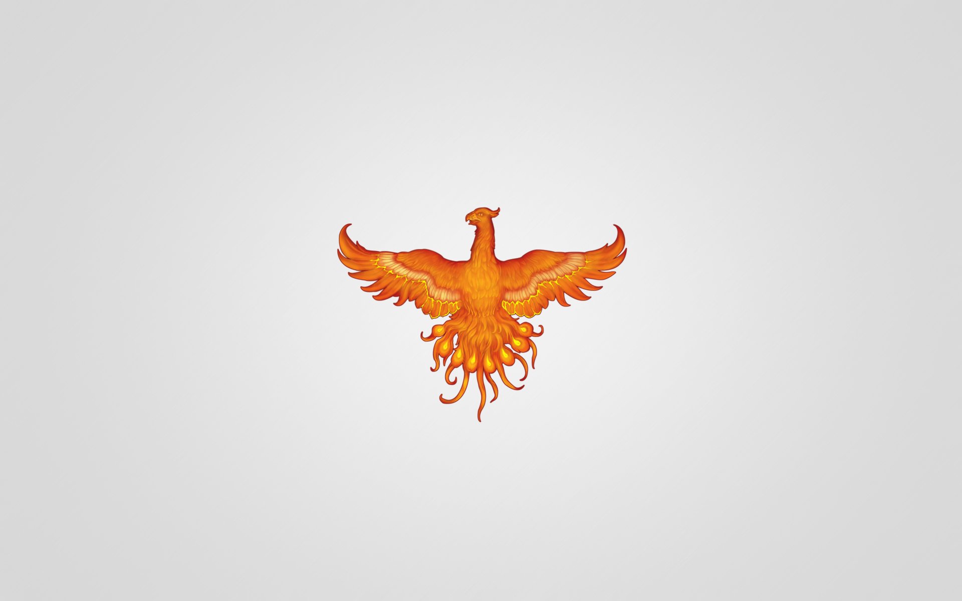 phoenix bird red light background minimalism