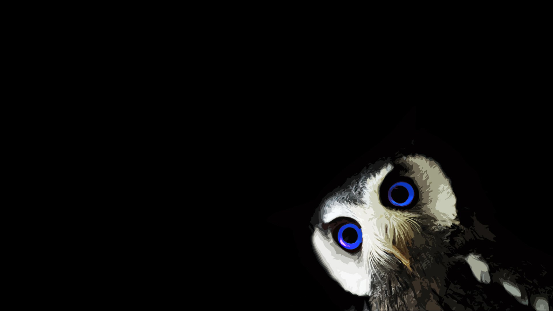 owl animals black black background blue eyes minimalism