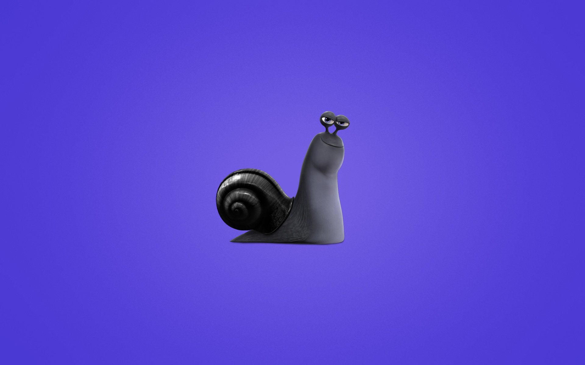 turbo escargot fond violet minimalisme