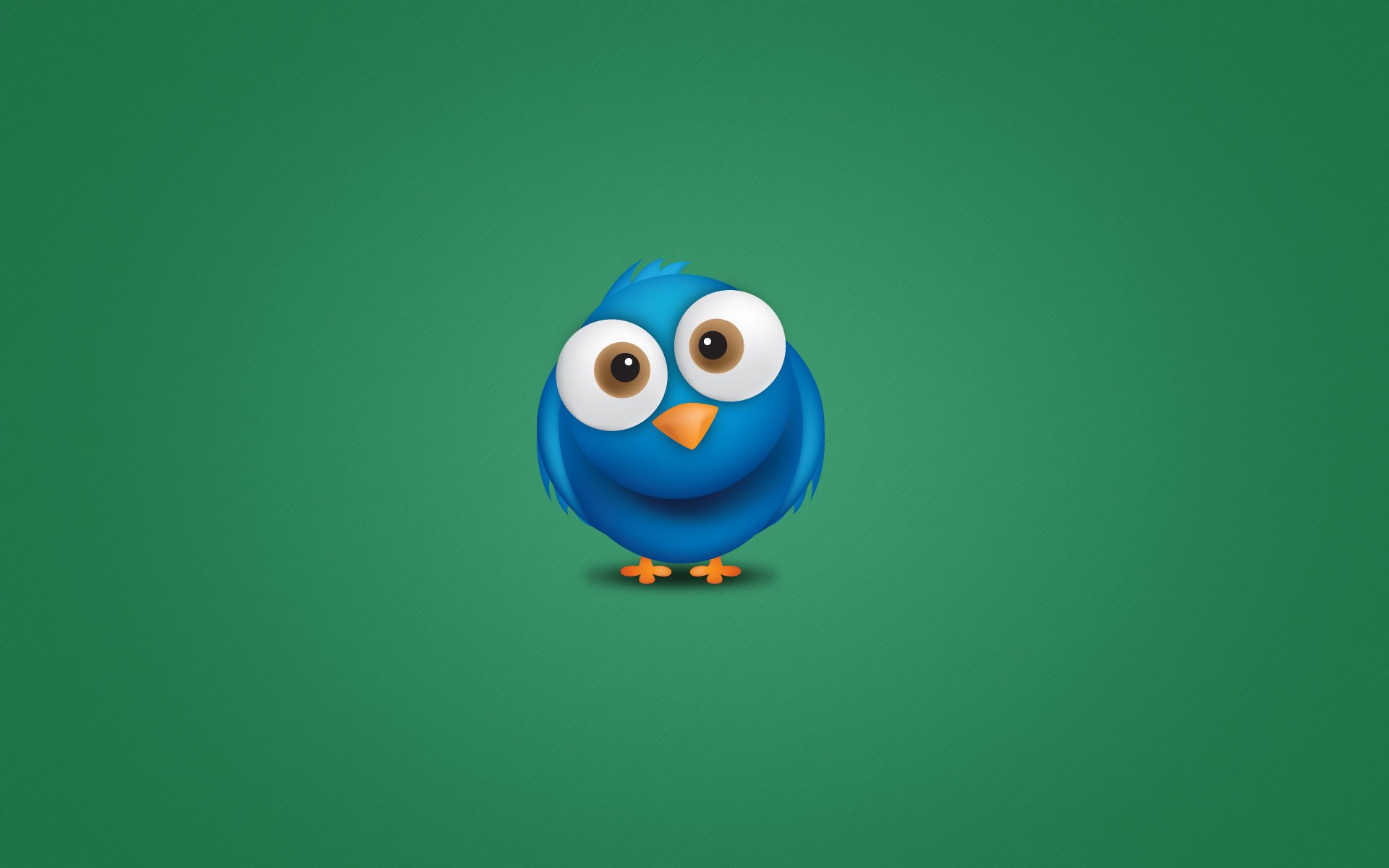 pájaro pájaro azul animal minimalismo twitter ojos