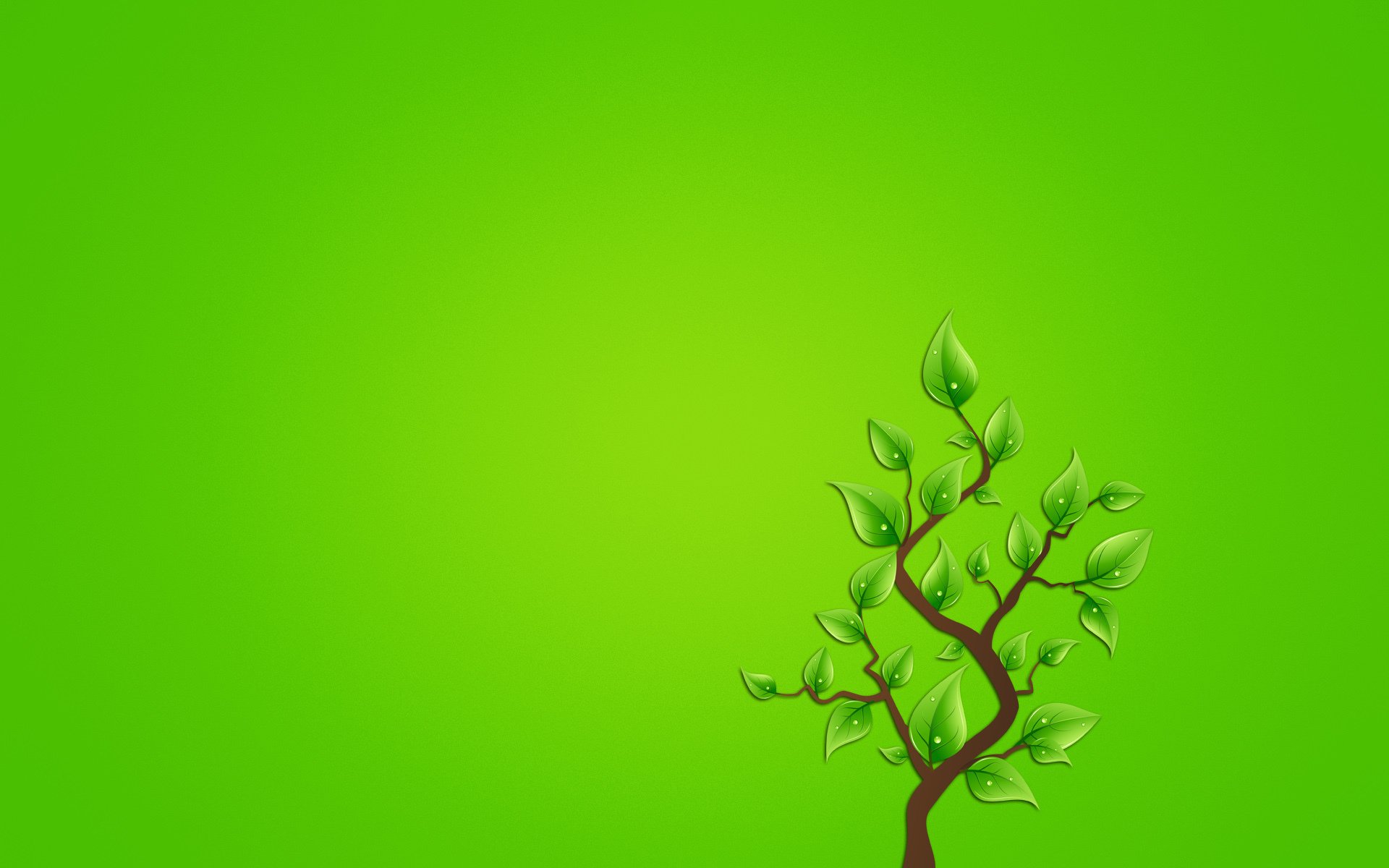 branch tree leaves green background minimalism drop