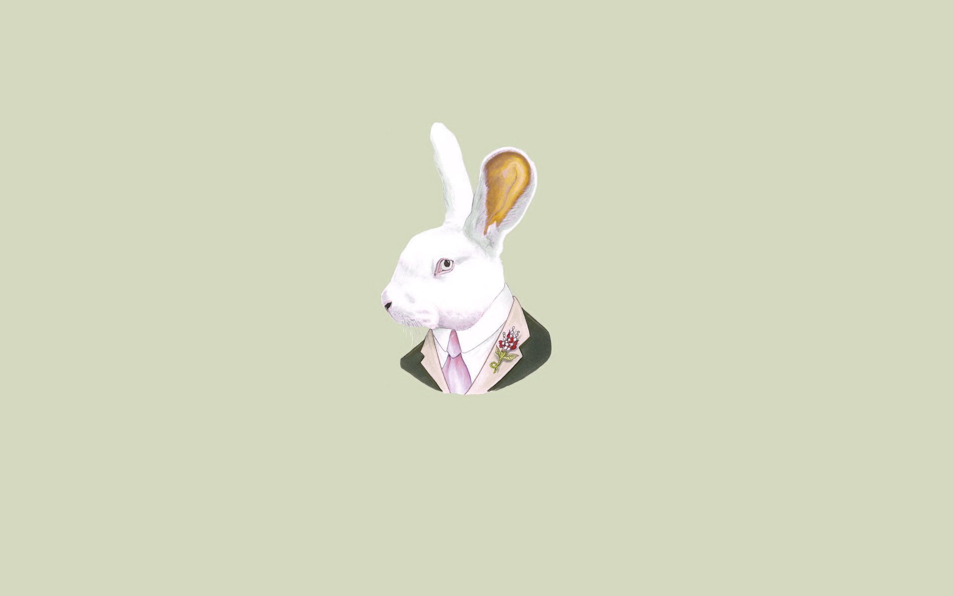 rabbit hare necktie light background head soup minimalism