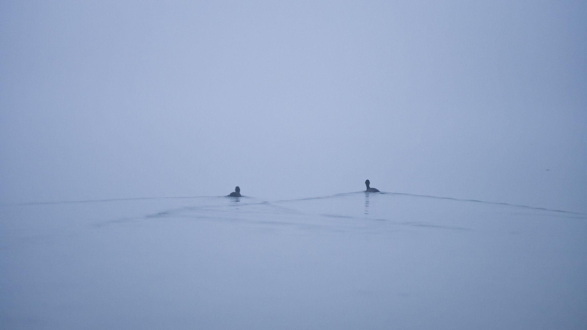 lago anatre nebbia minimalismo