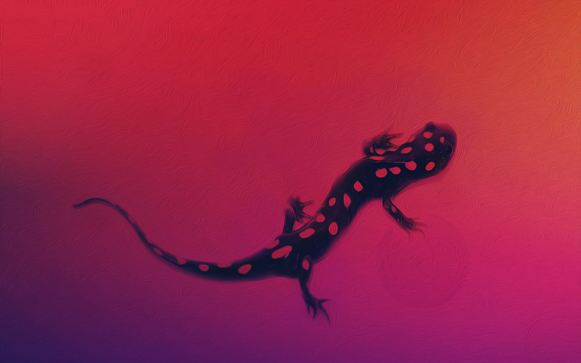 lizard minimalism picture