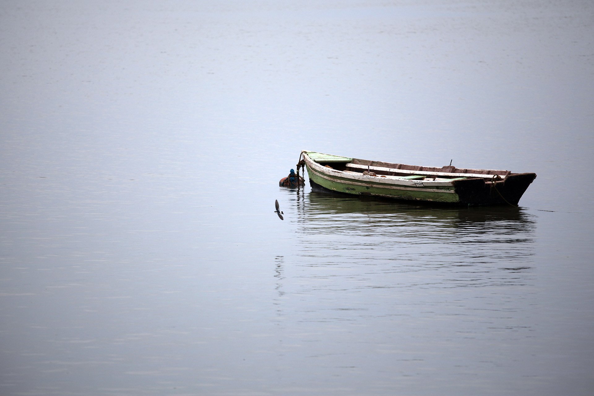 water boat poultry of mind