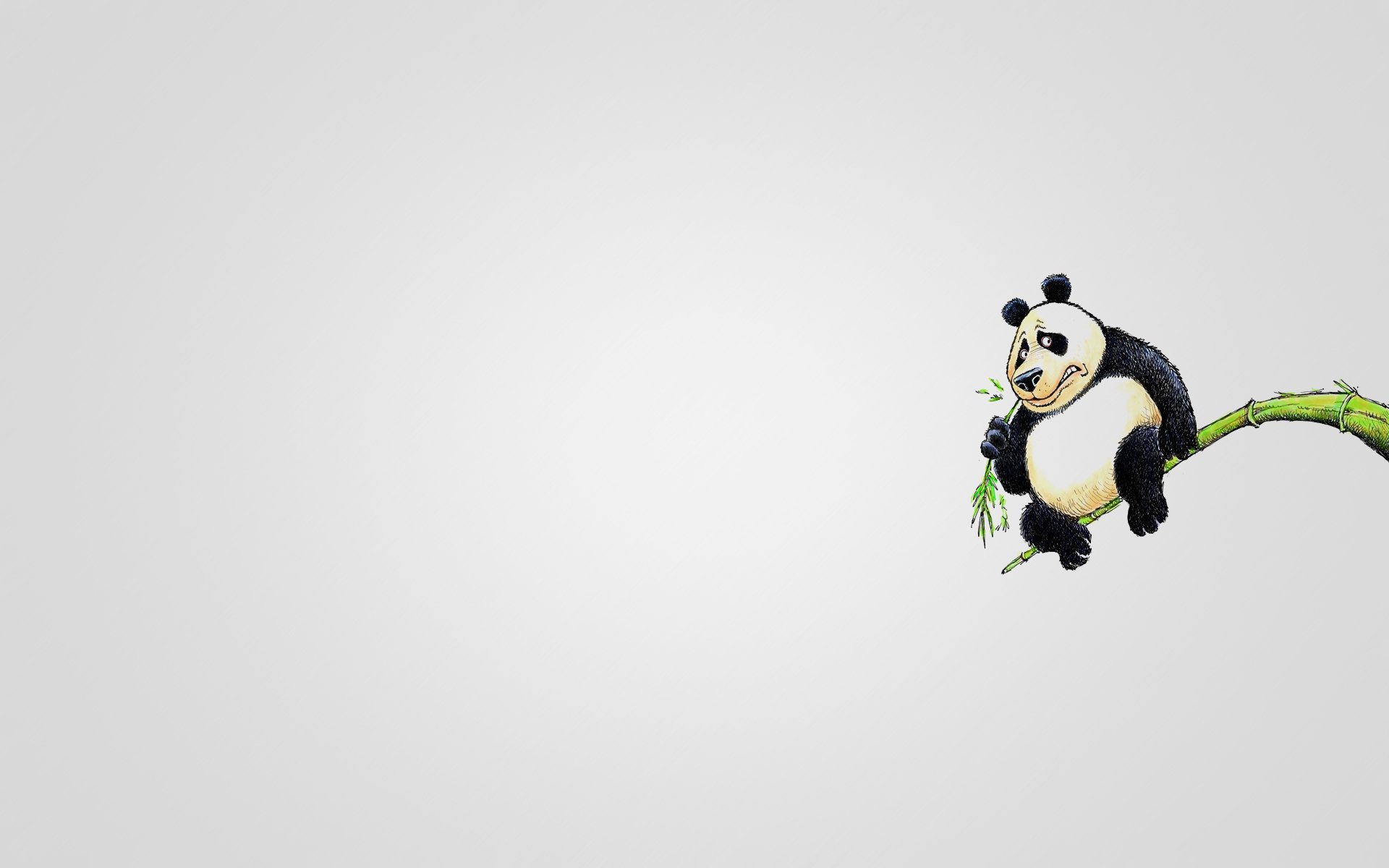 panda branche assis manger animal minimalisme arbre