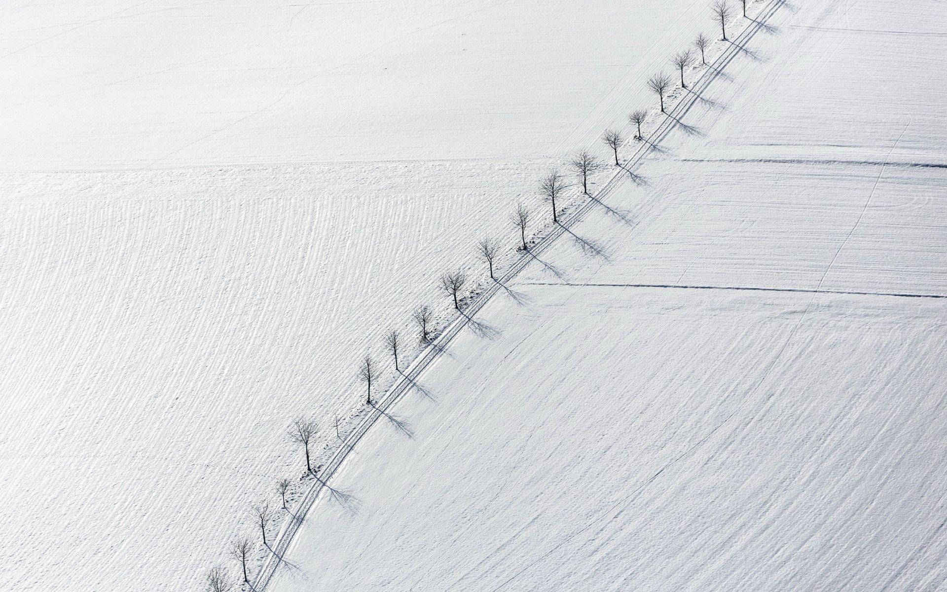 pole drzewa śnieg krajobraz minimalizm