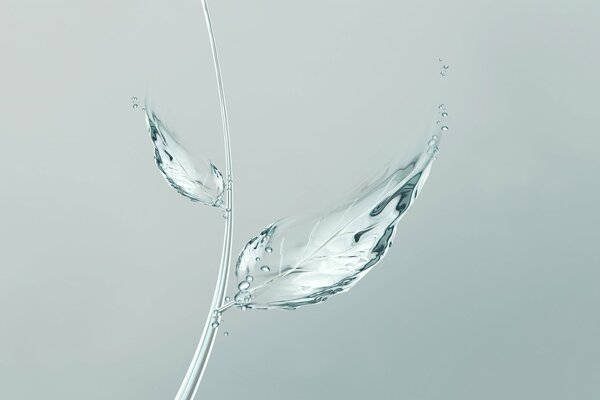 Hoja de agua cristalina en gris