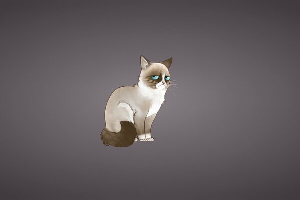 Grumpy Cat in full height on a dark background