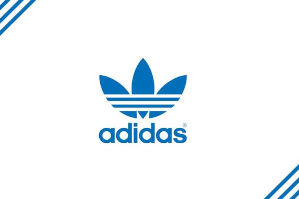 Adidas company logo on a white sheet