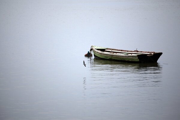 A lonely boat in the middle of the lake