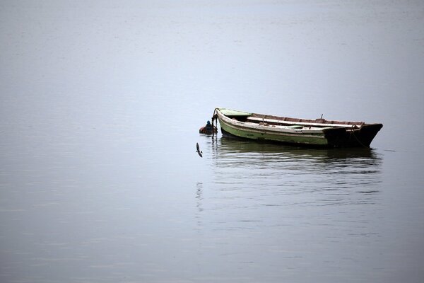 Одинокая лодка посредине озера