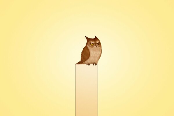 A gloomy owl sits on a column