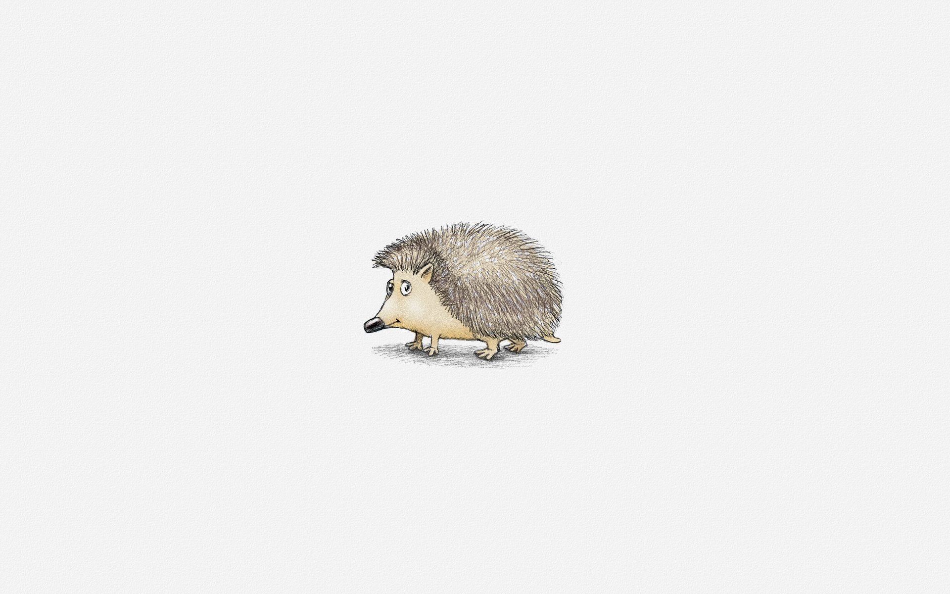 hedgehog hedgehog white background minimalism