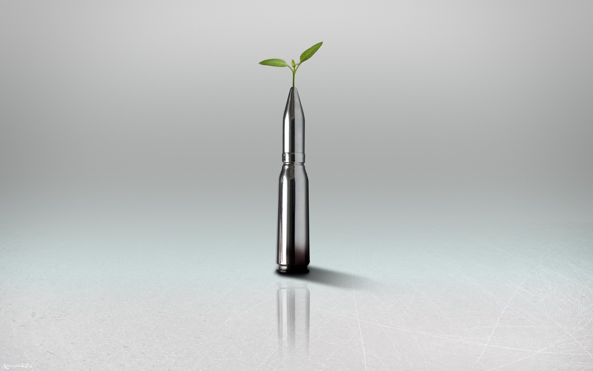 minimalisme balle plante