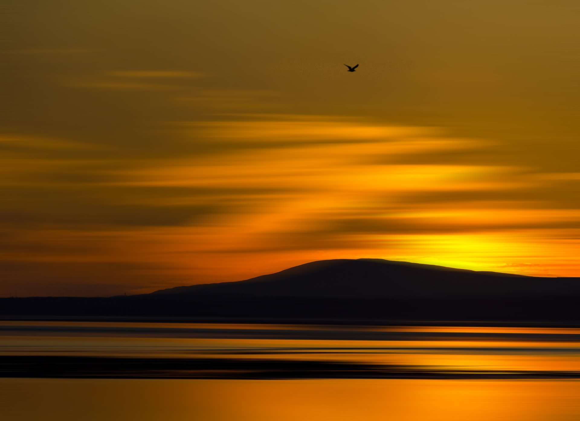 nature coucher de soleil mer colline montagne oiseau vol