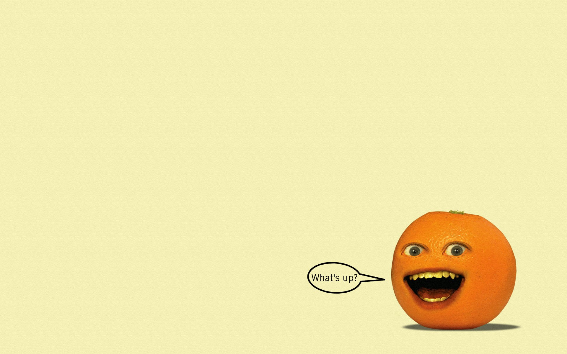 annoying orange the annoying orange inscription view minimalism