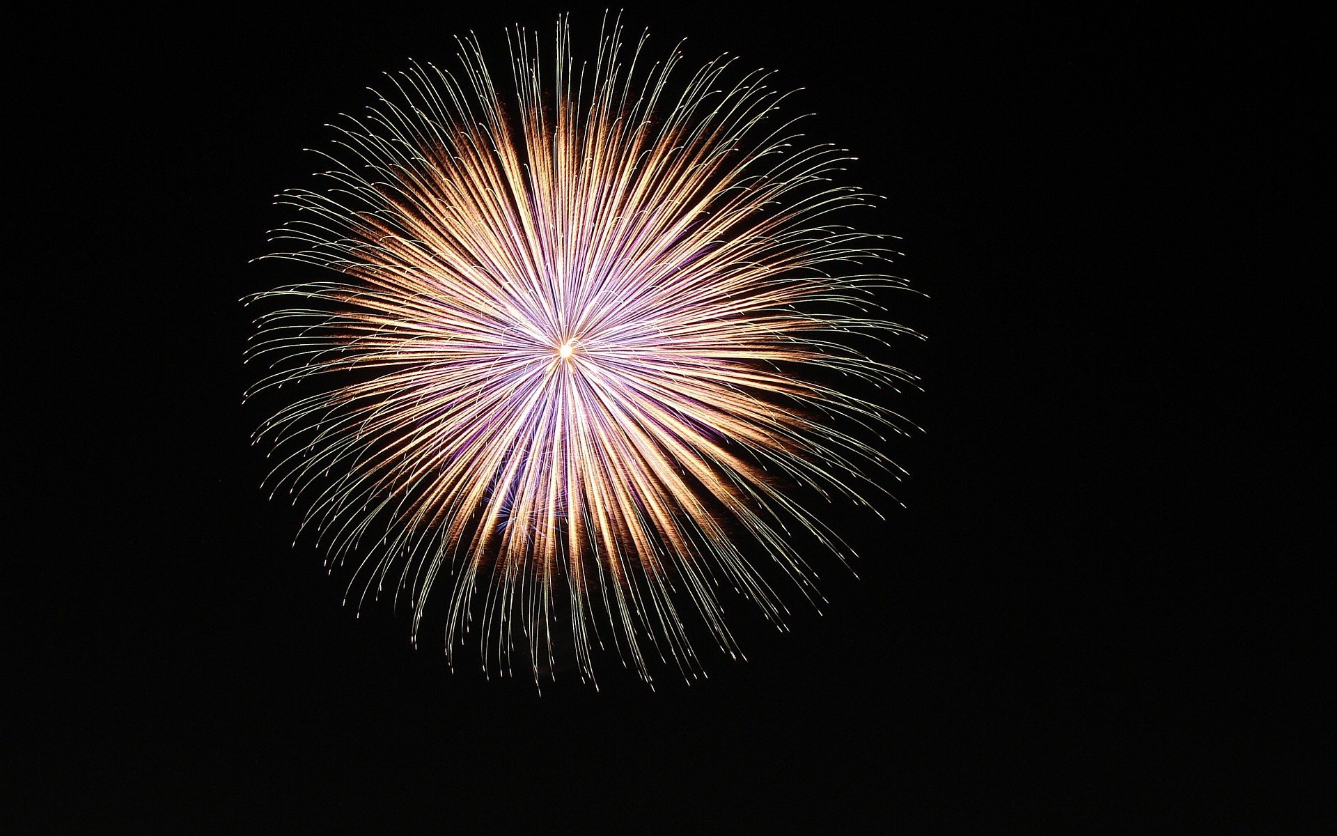 dark background fireworks sky night lights flower