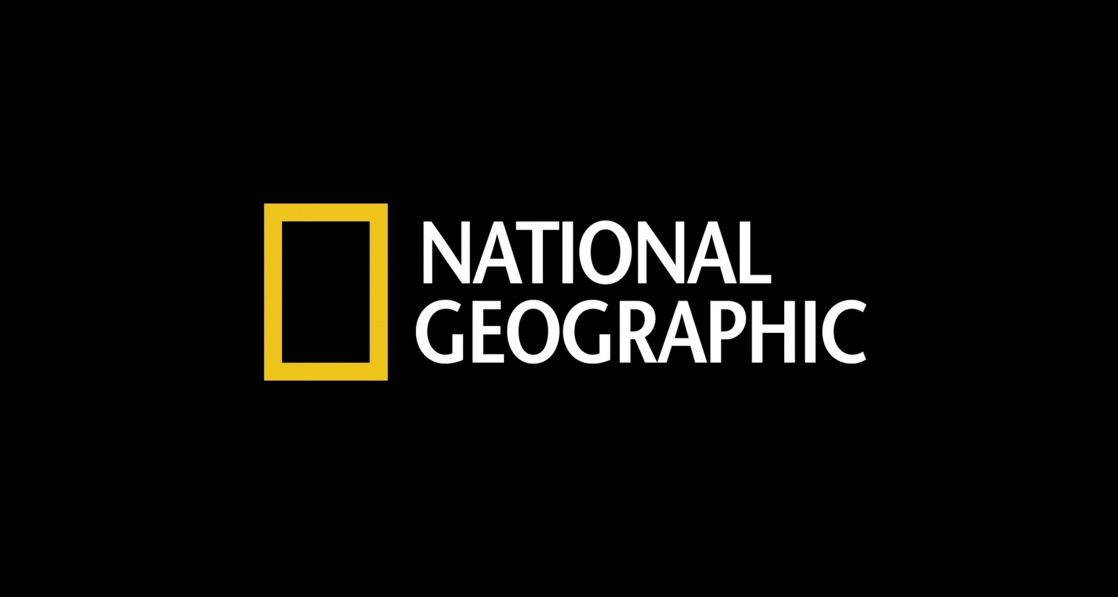 national geographic logotipo canal de televisión