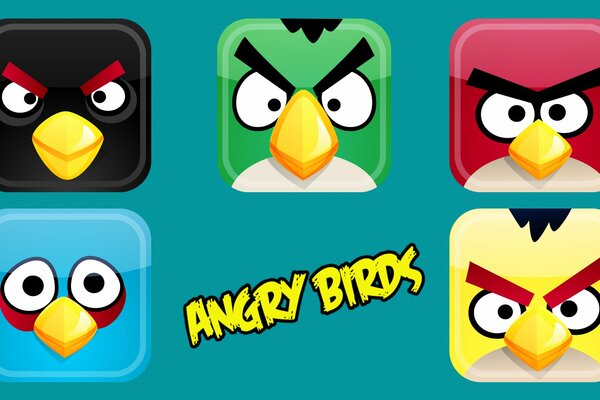 Birdies Angry birds iconos sobre un fondo turquesa