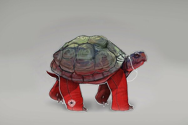 Tortue de jeunesse avec casque et jeans