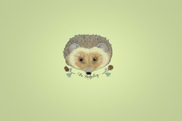 Hedgehog on an olive background with cones