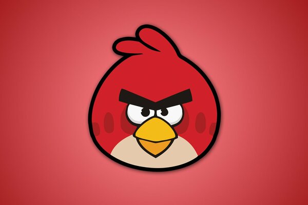 Angry birds Red Angry Birds na czerwonym tle