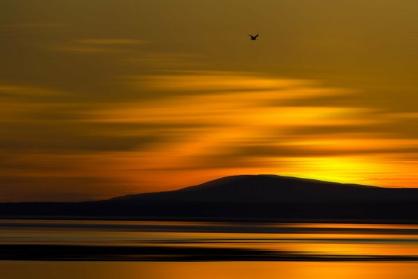 A bird s flight over the mountains