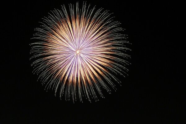 Fuochi d artificio dal viola al rosso su sfondo nero