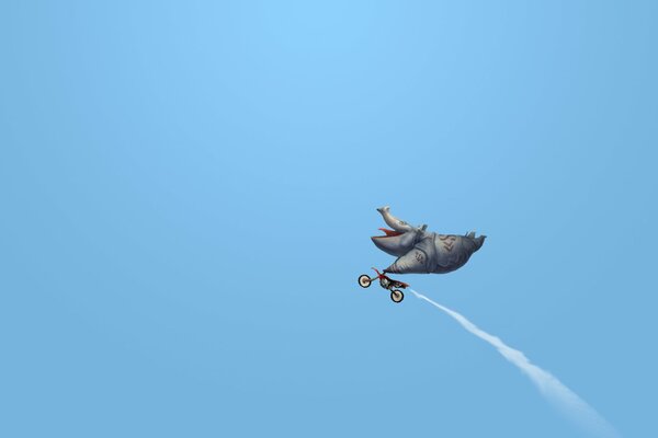 Un rinoceronte soddisfatto su una moto in volo