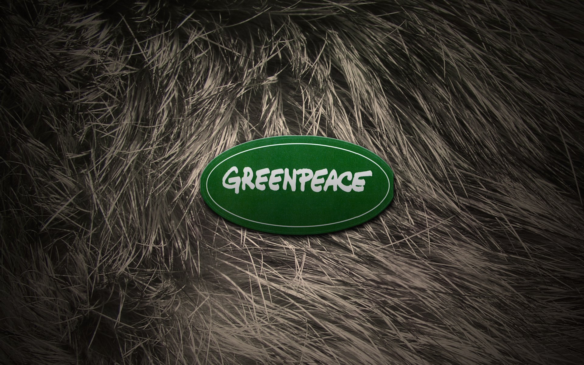 greenpeace logo wolle fell tiere neujahr 2012 mädchen nackt